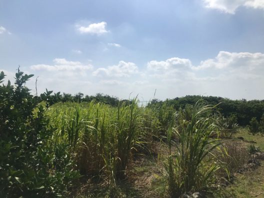  3,700万円