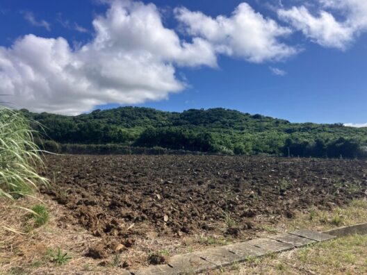 土地物件 300万円